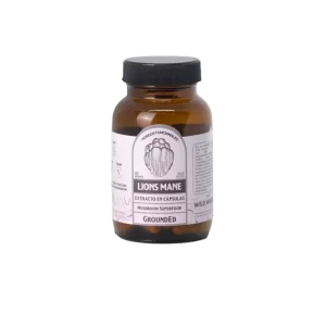 Functional mushroom capsules Lion's Mane - Grounded