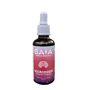 Gaia tincture of functional mushrooms Cordyceps